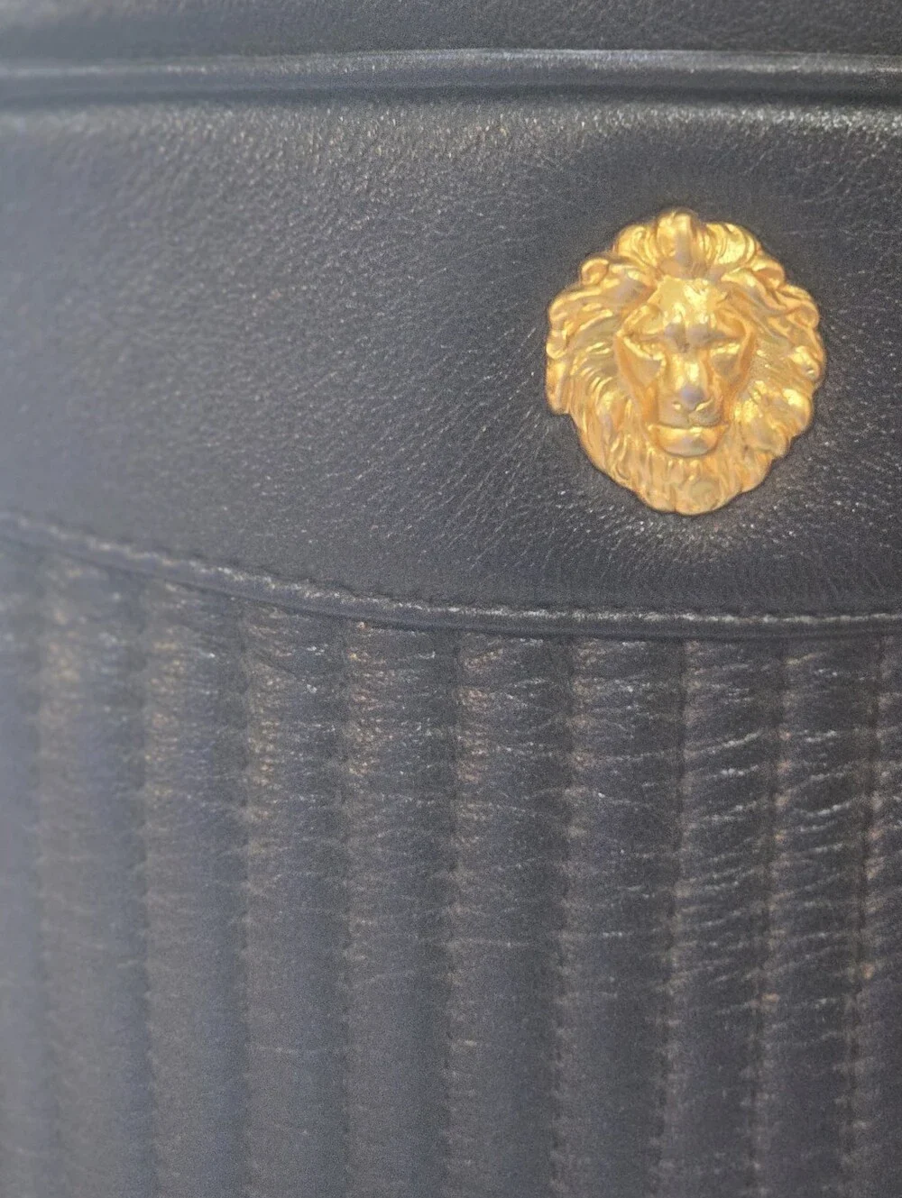 Anne Klein lion front
